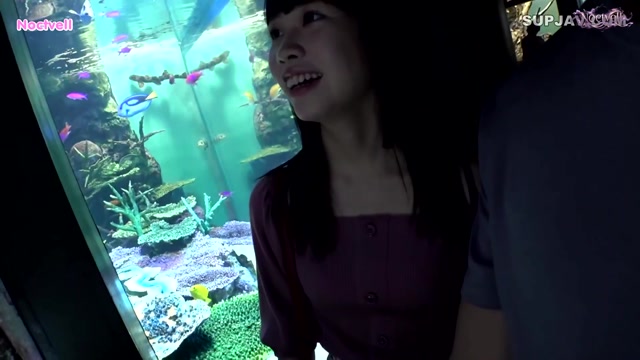 สาวใสหน้าซื่อจอมร่านในเน็ตคาเฟ่ FC2-PPV-4612168 ซับไทย